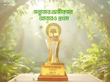 A tree award is shown in the foreground with sunlight shining behind it