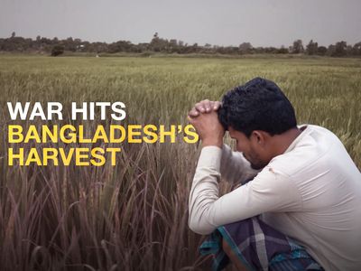 A farmer in Bangladesh sits in his field with his head in his hands. Caption on photo reads, "War hits Bangladesh harvest."