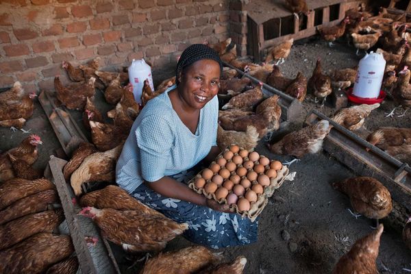 BRAC in Uganda’s transition to a bank and what it means for customers - Header Image