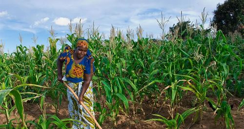 Tanzania-agriculture-climate-commitment
