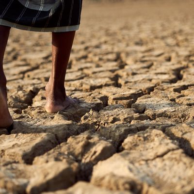 Drought, Climate Change