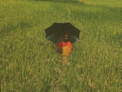 There’s more to social protection than just allowances - Header Image