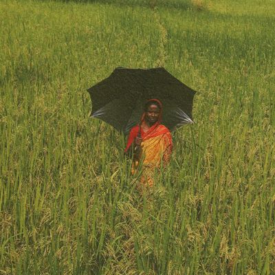 There’s more to social protection than just allowances - Header Image