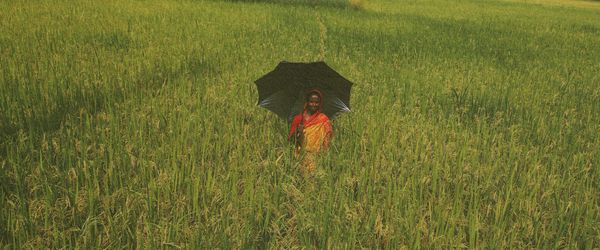 There’s more to social protection than just allowances - Header Image