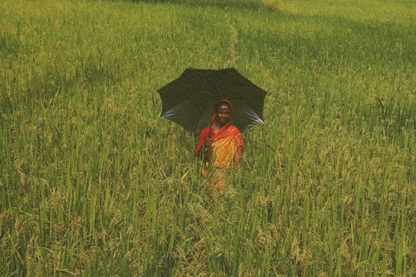 There’s more to social protection than just allowances - Header Image