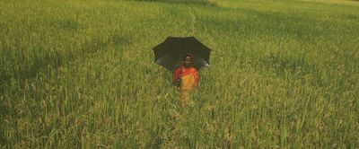 There’s more to social protection than just allowances - Header Image