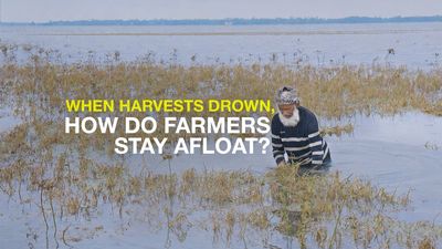 When farms drown