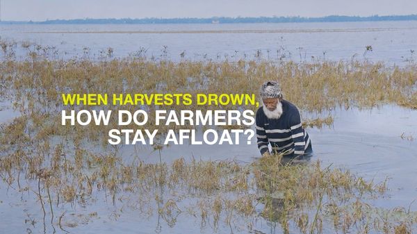 When farms drown