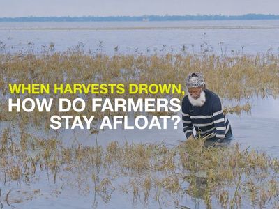 When farms drown