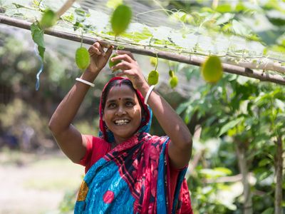 A woman gardens in Bangladesh.