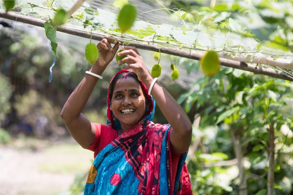 A woman gardens in Bangladesh.