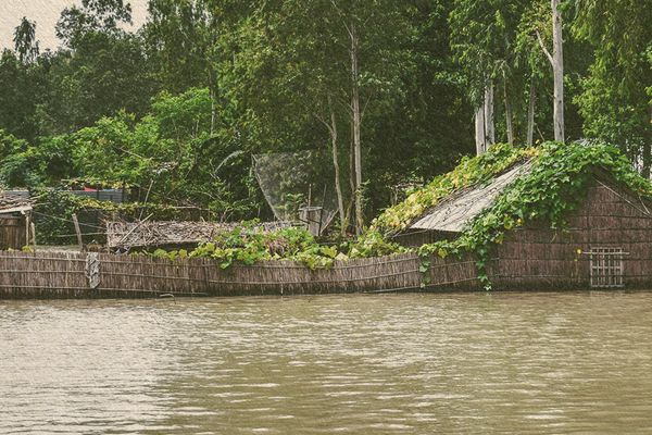 We must act fast on both climate displacement and adaptation. It’s right and it’s smart. - Header Image