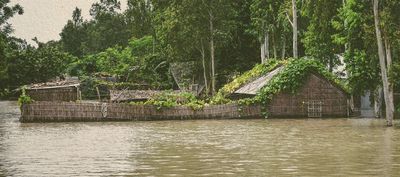 We must act fast on both climate displacement and adaptation. It’s right and it’s smart. - Header Image
