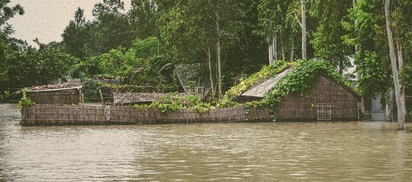 We must act fast on both climate displacement and adaptation. It’s right and it’s smart. - Header Image