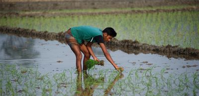 BDT 565bn loss in farmers' income in 45 daysFeatured - Header Image