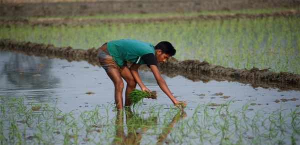 BDT 565bn loss in farmers' income in 45 daysFeatured - Header Image