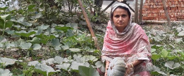 আকলিমা পেরেছেন - Header Image