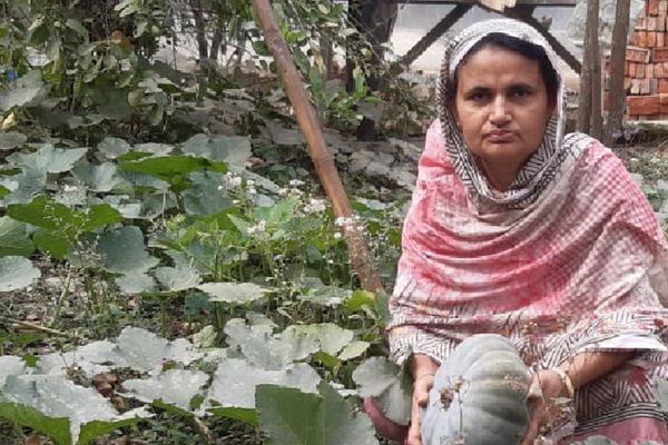 আকলিমা পেরেছেন - Header Image