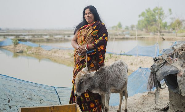 A woman in a colorful sari stands beside a brown cow in a rural setting, smiling gently at the camera.