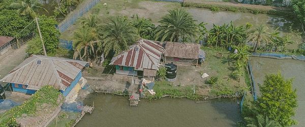 Tackling water scarcity by harvesting the sky - Header Image