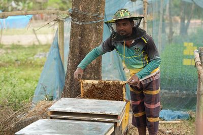 beekeeping-banner