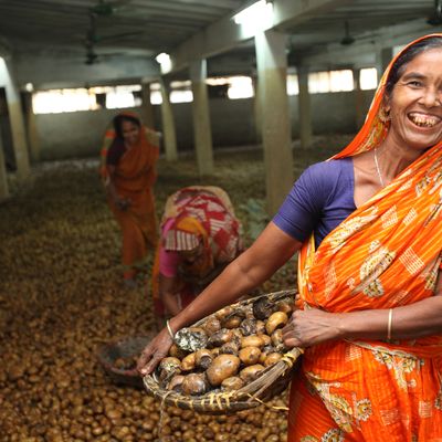 BRAC Bangladesh, woman carrying a basket