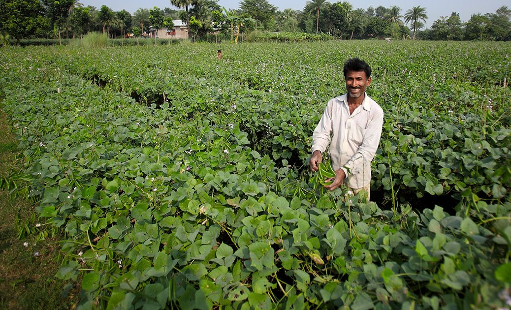 Scaling up crop insurance to tackle the global food crisis in Bangladesh