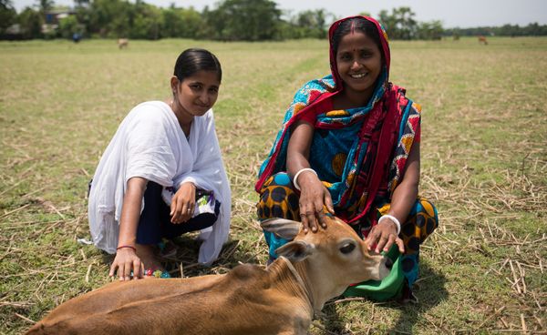 Jameel Observatory early warning system showcased by US and UAE governments at climate change summit in Washington, DC - Header Image