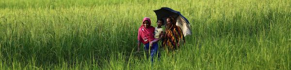A family walks through a field in Bangladesh, including a mother, father and child.