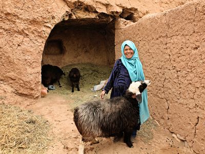 TUP member of BRAC Afghanistan  with her sheep