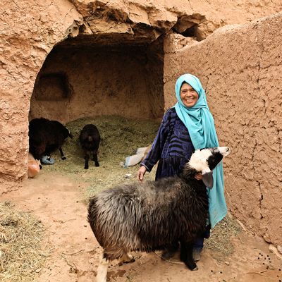 TUP member of BRAC Afghanistan  with her sheep