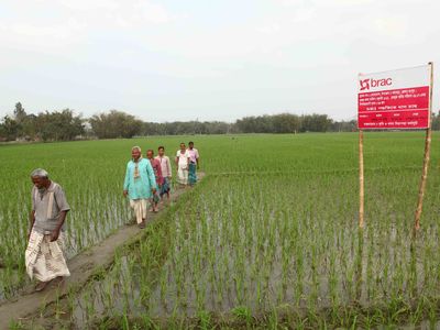 Microfinance Programme to invest around BDT 328.5 Million in agriculture