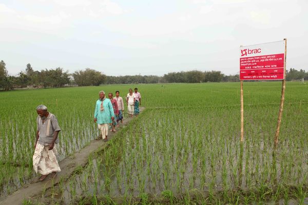 Microfinance Programme to invest around BDT 328.5 Million in agriculture