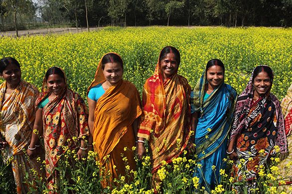 Ploughing the path in a male-dominated turf - Header Image