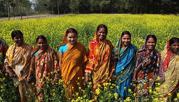 Ploughing the path in a male-dominated turf - Header Image