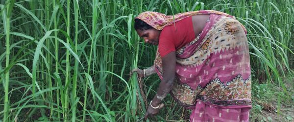 Building resilience amidst growing food insecurity crisis - Header Image