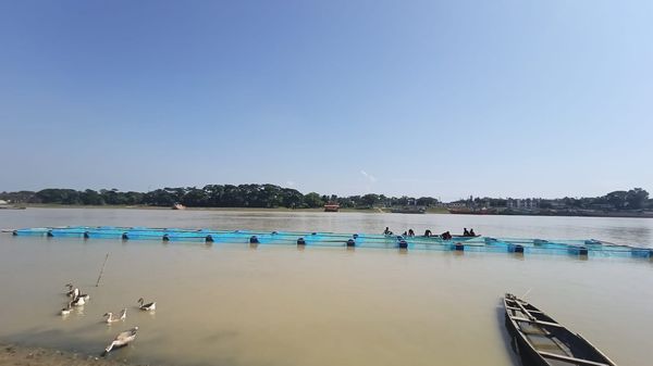 cage-aqua-culture-banner