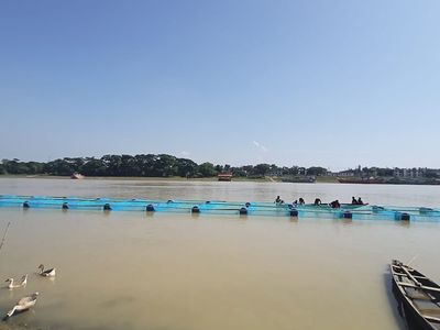 cage-aqua-culture-sm