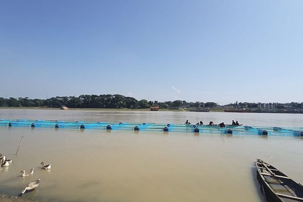 cage-aqua-culture-sm