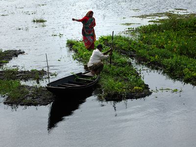 A family tends to their floating farms in Bangladesh