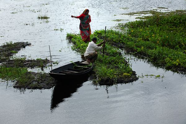 A family tends to their floating farms in Bangladesh
