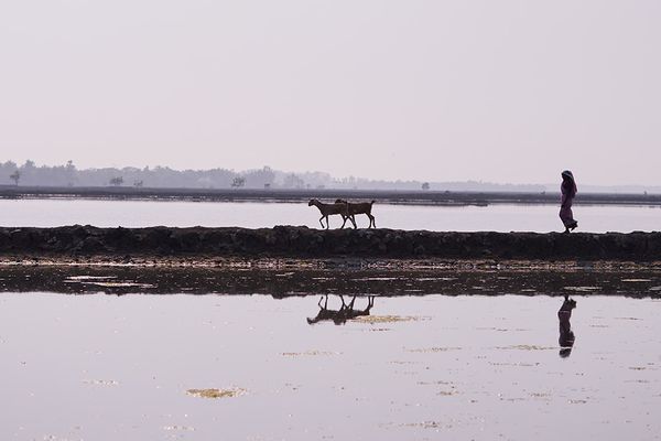 জলবায়ু পরিবর্তন এবং দুর্যোগ মোকাবিলা: একই ধারা কিন্তু রয়েছে ভিন্নতা - Header Image