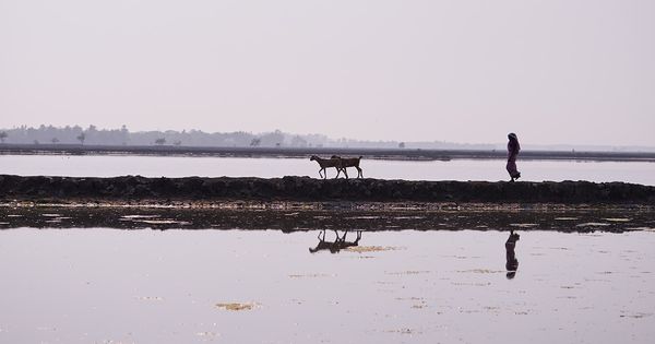 জলবায়ু পরিবর্তন এবং দুর্যোগ মোকাবিলা: একই ধারা কিন্তু রয়েছে ভিন্নতা - Header Image