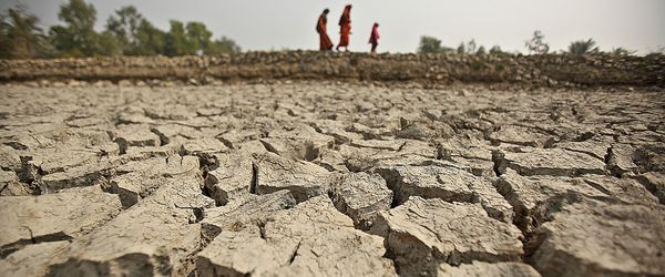 Is it too late to winthe climate fight? - Header Image