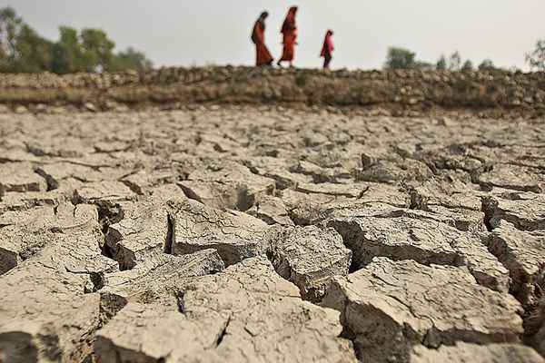 Is it too late to winthe climate fight? - Header Image