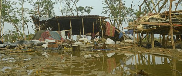 নিজের বাড়ি আছে আমার স্মৃতিতে - Header Image