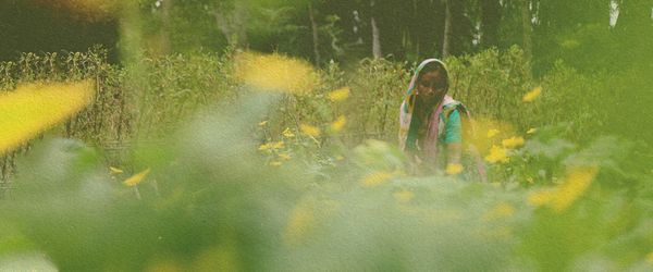 Time for ground-up climate policy - Header Image