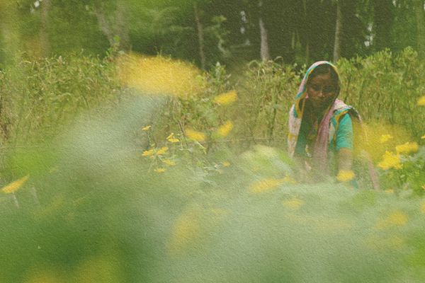 Time for ground-up climate policy - Header Image