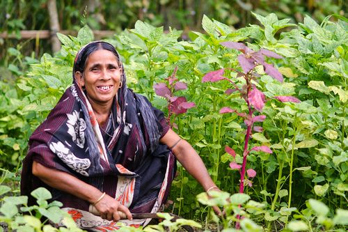 climate-resilient-homestead-gardening