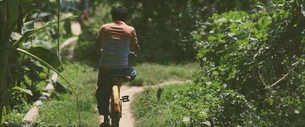 Navigating through crises in a disabling world - Header Image